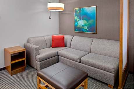 King Room with Sofa Bed