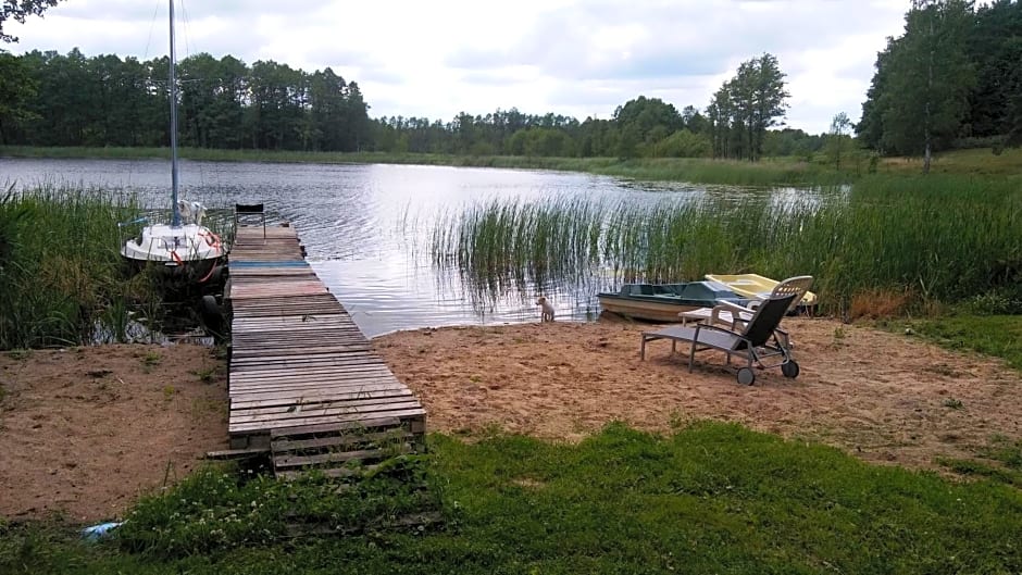 Domek Zalesie