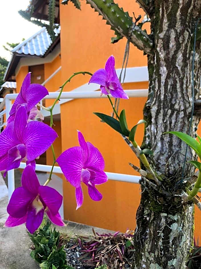 Hotel Morro De São Paulo