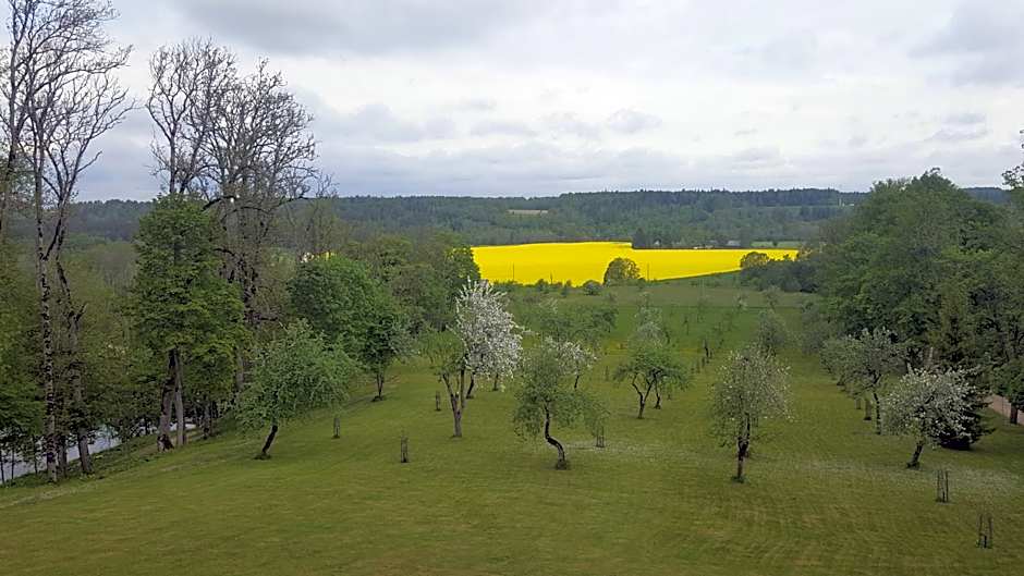 Kalnmuižas pils