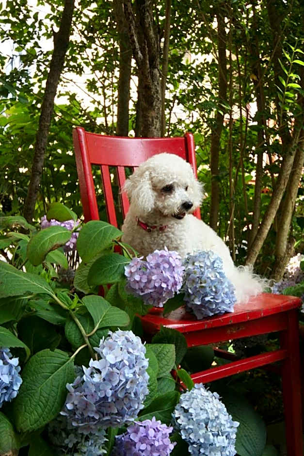 Hydrangea House Inn
