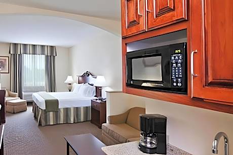 1 King Suite With Sofa Bed