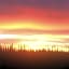 FireWeed RoadHouse