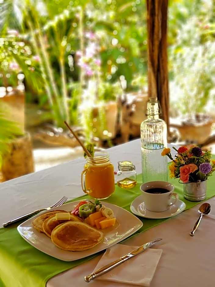 Hotel Villa Mozart y Macondo