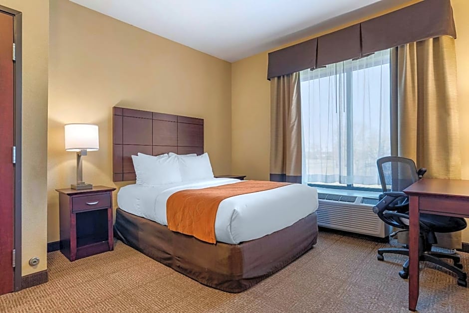 Comfort Suites Airport South