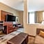 Comfort Suites University