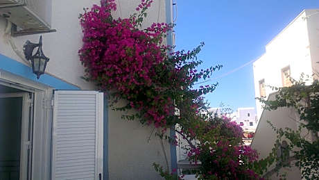 Triple Room - Ground Floor