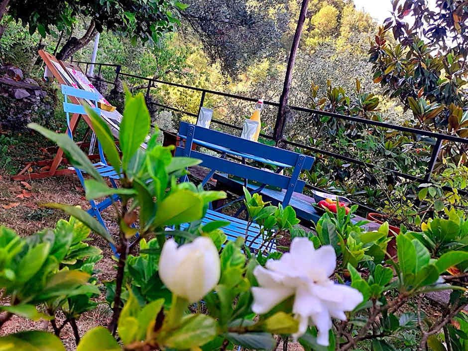 B&B I Glicini