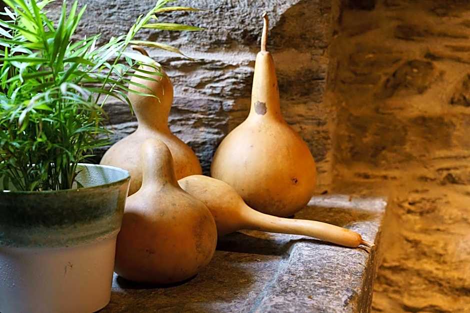 Lar da Mota Boutique Hotel