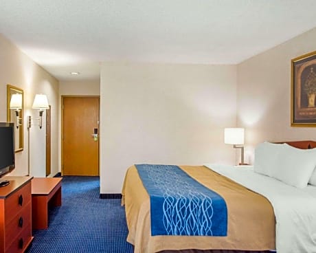 1 King Bed  No Smoking  Accessible Room