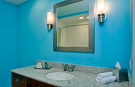 1Kng Dlx View Mobility Accessible Bathtub