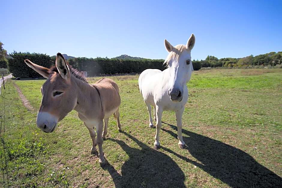 Les Résidences de Métifiot
