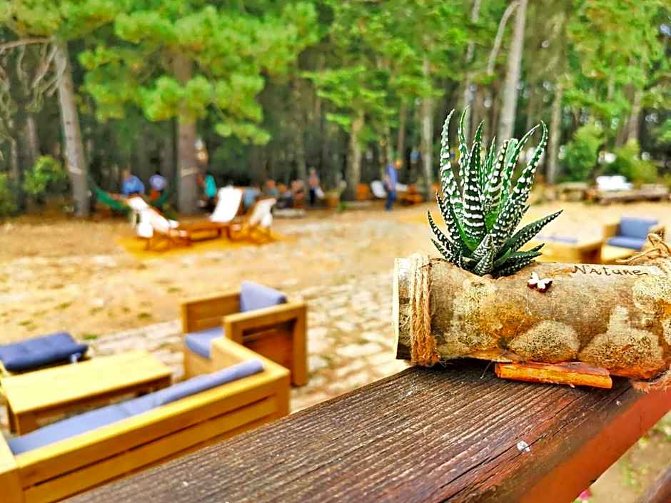 Vallicciola Nature Hotel