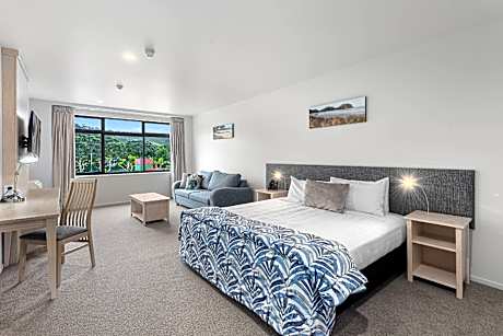 Standard 1 King bed Non Smoking
