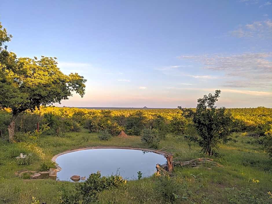 Tingala Lodge - Bed in the Bush