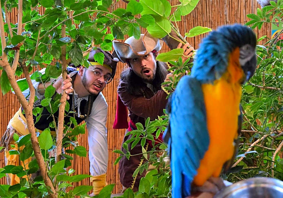 Days Inn by Wyndham Panama City Beach/Beachfront Resort