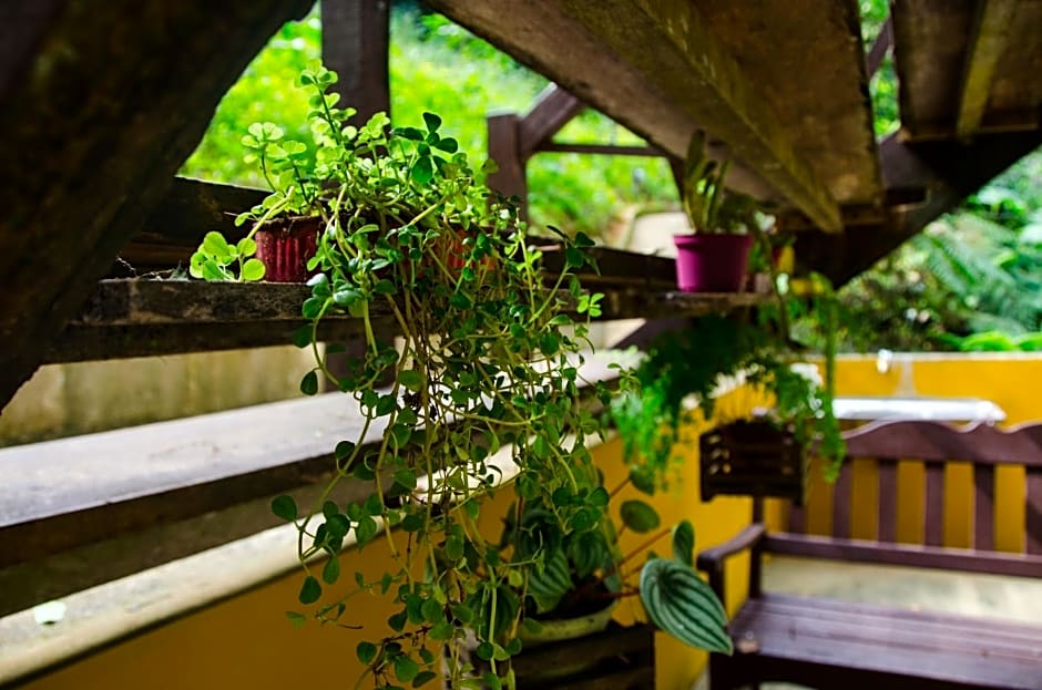 Sitio Recanto Primata