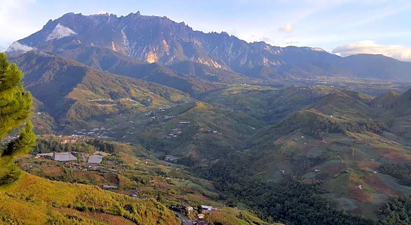 Crystal Hill R