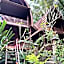 Bulian Homestay