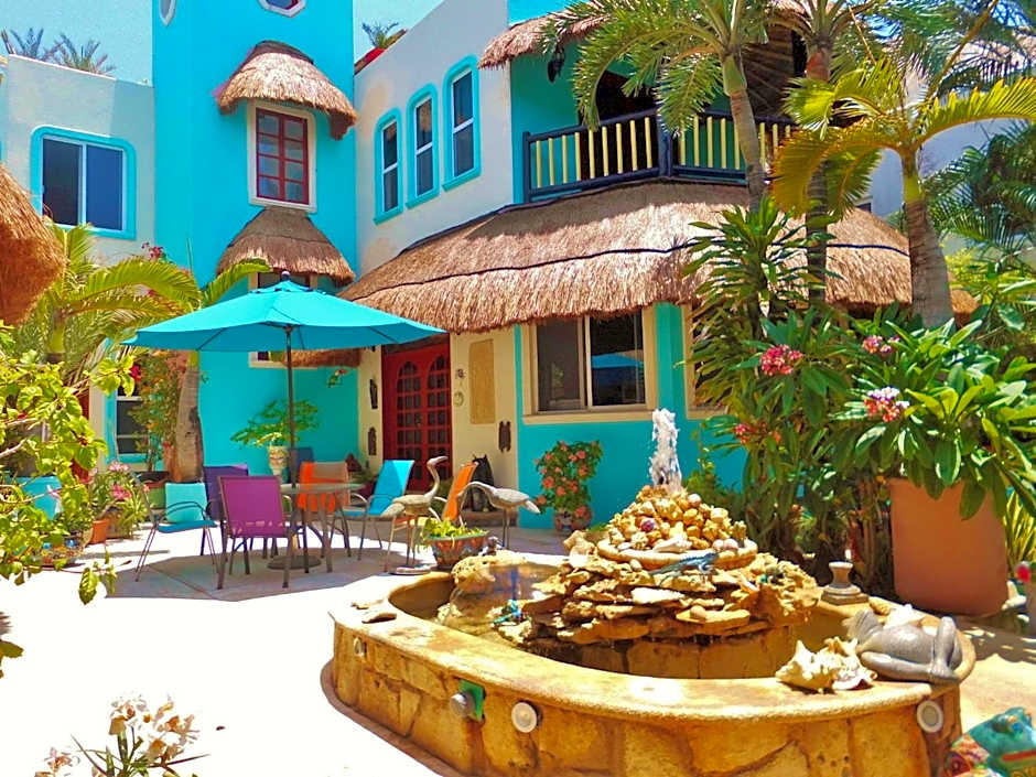 Casa Gatos