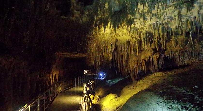 HOTEL Palm Tree Hill