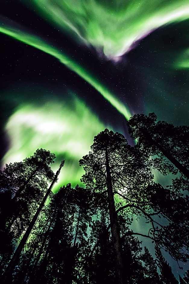 Aurora Village Ivalo