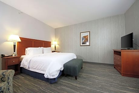 1 King Bed Nonsmoking