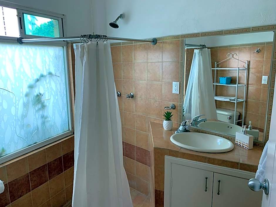 Satya Suites & Portal San Angel Flats