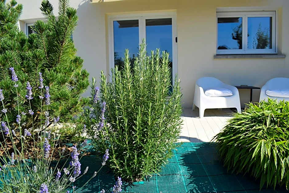 Les sapins verts -inspiration deluxe