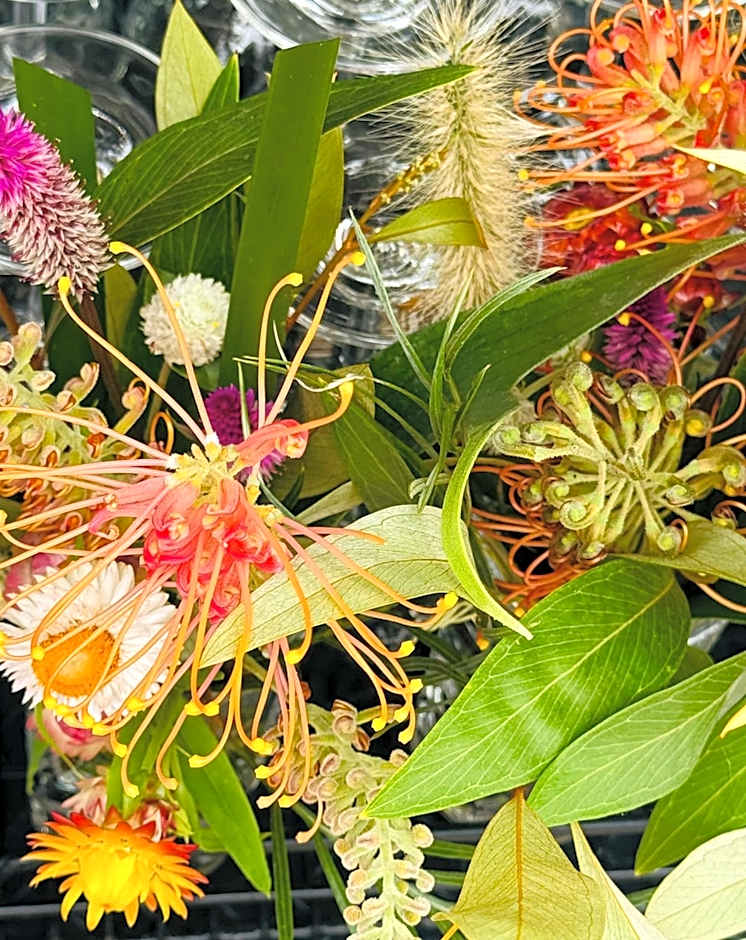 Mavis's Cabins @ Mt Warning