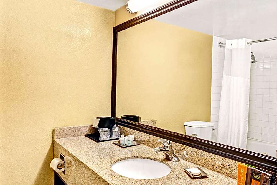 Wyndham Garden Romulus Detroit Metro Airport