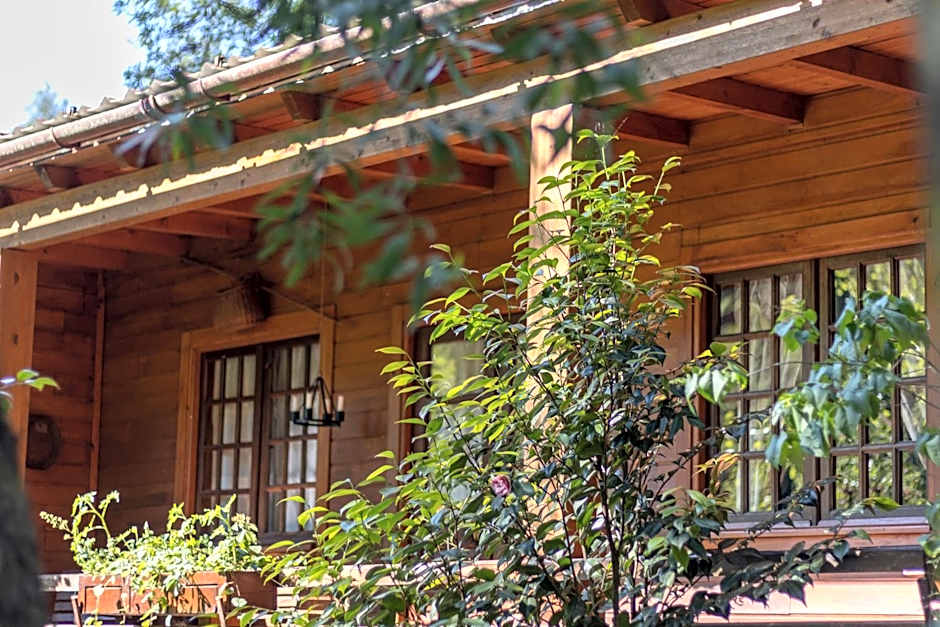 Riba Rio - Unique Nature Spot