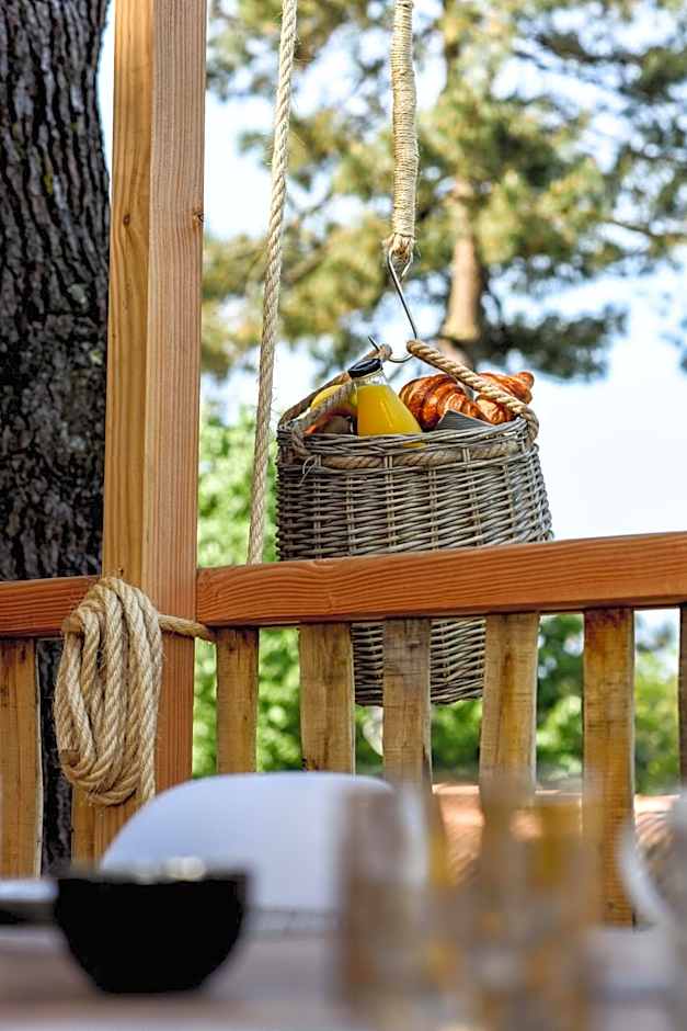 Logis Hotel Emeraude des Bois
