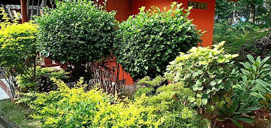 Save Bungalow Koh Tao