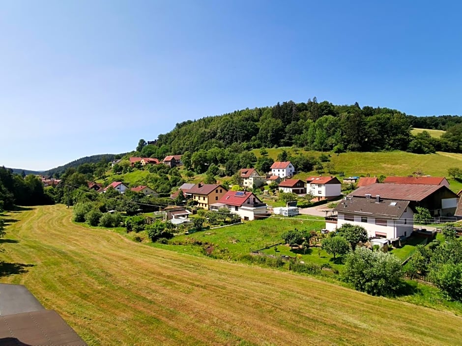 Hotel Grüner Baum mit Restaurant & Wellness