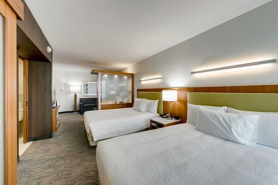 SpringHill Suites by Marriott Houston The Woodlands