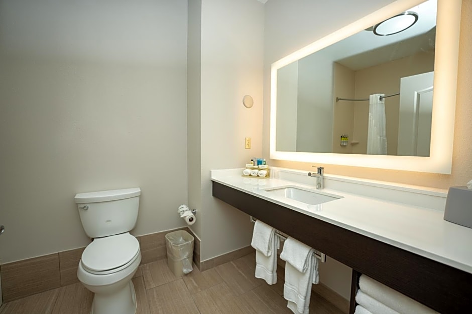 Holiday Inn Express Hotel & Suites Deer Park By IHG