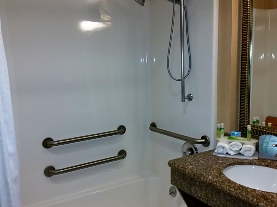 Holiday Inn Express & Suites New Buffalo, MI by IHG