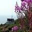 Alaska Adventure Cabins