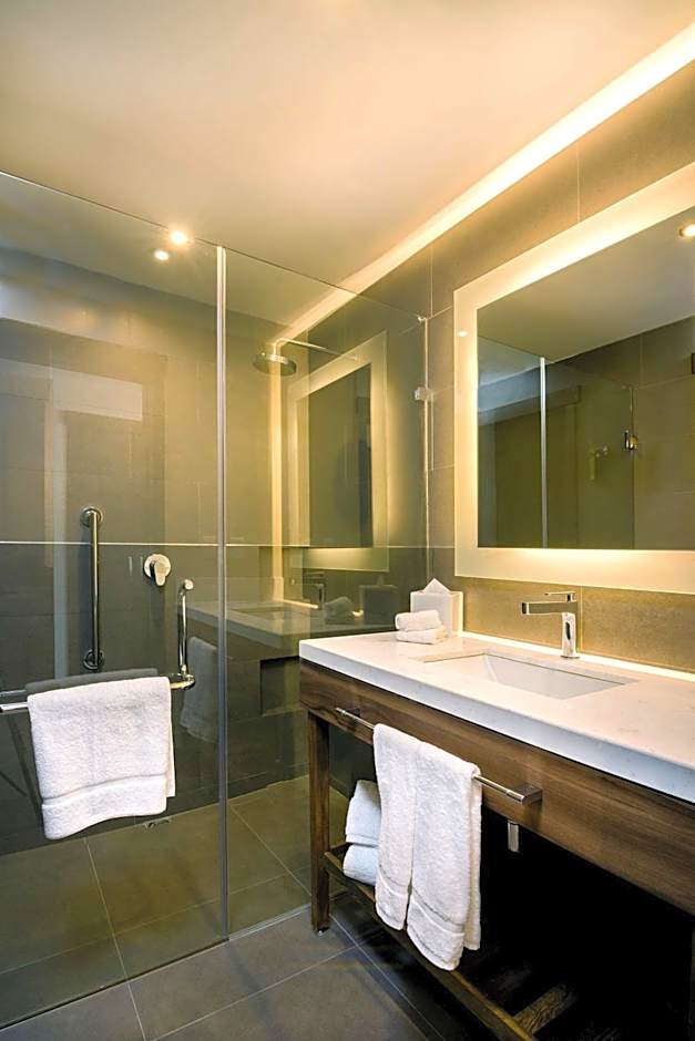 Hilton Garden Inn Aguascalientes