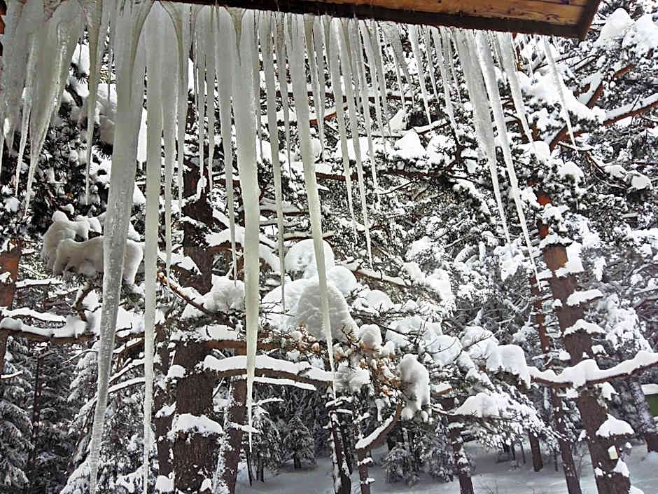 RILA 6ATO Hotel & Restaurant