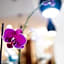 Hotel Quino