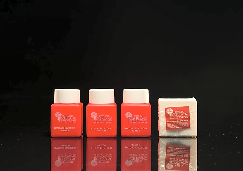 Hôtel du Bois Blanc Domaine d'Epeyssoles Georges Blanc