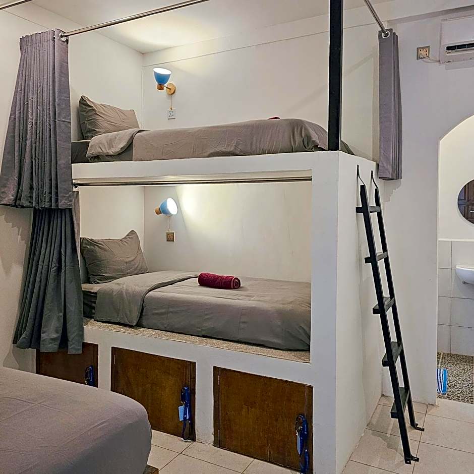 Tipsea Turtle Gili Trawangan