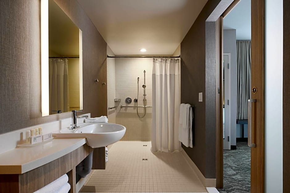 SpringHill Suites by Marriott Dallas DFW Airport South Centreport