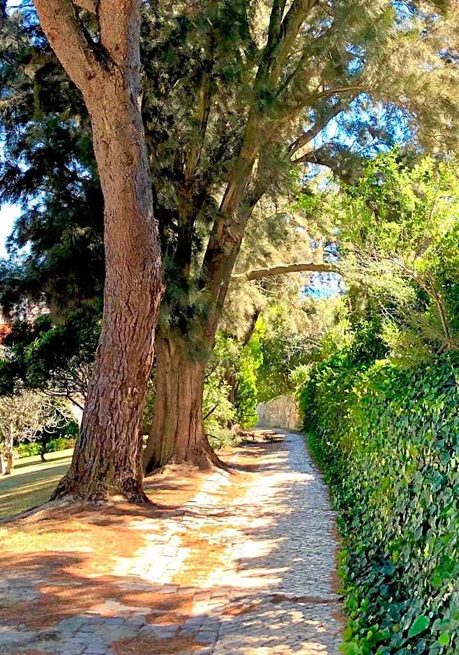 Albufeira Jardim - Apartamentos Turísticos