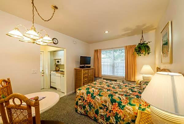 The Cozy Inn