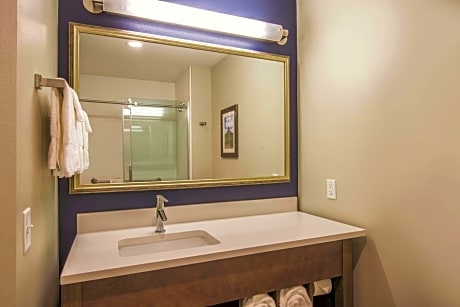 1 King Bed Executive Room Various Views Non-Smoking