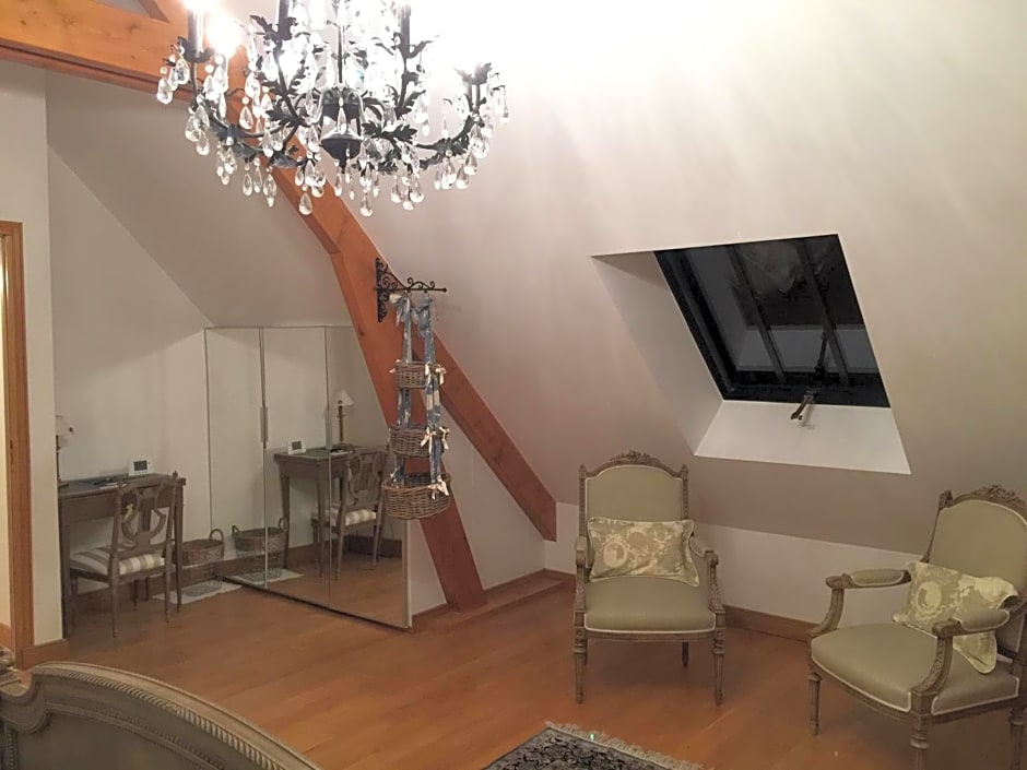 Les Prémices De La Forêt