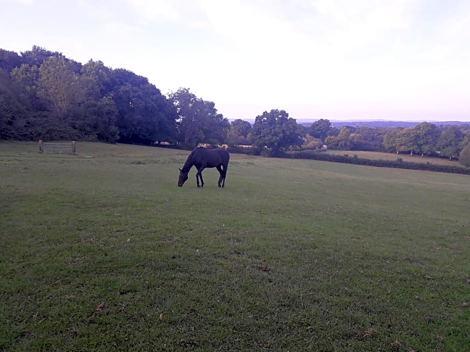 Moaps Farm B&B support small business, welcome, check in from 5 pm